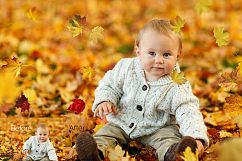 97 Autumn Leaves Photo Overlays Product Image 3