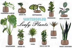Leafy plants clip art collection, Watercolor plants in pot Product Image 1