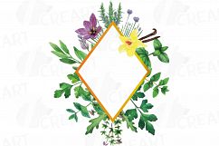 Herbs and Spices frames watercolor clip art pack, watercolor herb leaves borders. PNG, jpg, svg, vector illustrator &amp; corel files included Product Image 9