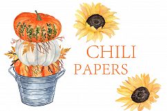 Watercolor Pumpkin Clipart Product Image 3