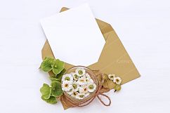 Styled Photos Bundle with Molucella Product Image 8