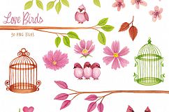 Love Birds and Birdcages Product Image 5