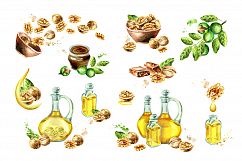 Walnut. Watercolor bundle Product Image 4