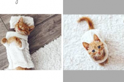Pet Social Media Kit Template, Social Media Post Pack, 8 Set Templates Bundle for Instagram Pinterest Blog Facebook, Marketing Branding Kit. Product Image 3