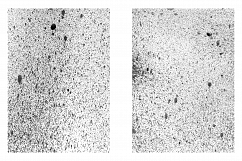 Subtle Paint Splatter Vol. 2 Product Image 10