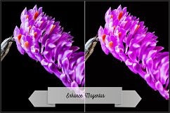 Incredible Flowers Profiles LR7.3 ACR10.3 Product Image 24