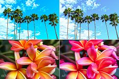 Tropical Lr Presets Product Image 3