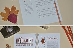 Naturalist: Set of Unique Mock-Ups Product Image 2