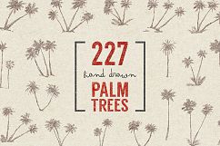 227 hand drawn palms + BONUS Product Image 11