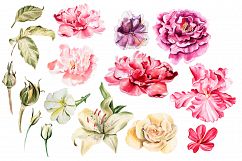 Beautiful watercolor flowers Product Image 5