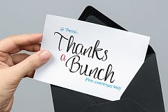 Adelle Script Typeface Product Image 6