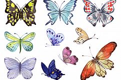 Butterflies. Watercolor set.  Product Image 3