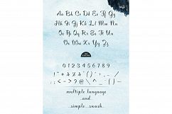 Qeyla Script Product Image 5