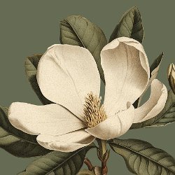 AI Crafted Magnolia Avatar