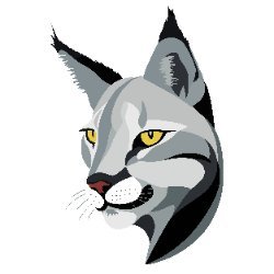 LincePatterns avatar