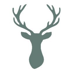 Mint Deer Designs avatar