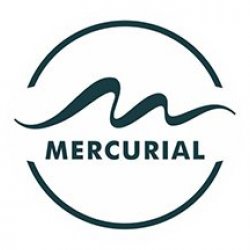 Mercurial avatar