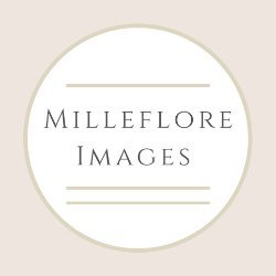 Milleflore Images avatar