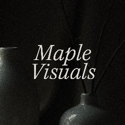 Navpreet Visuals Avatar