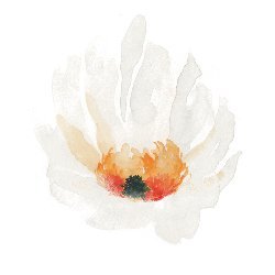 bluerobindesignshop Avatar