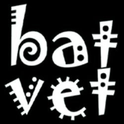 BatVetDesigns avatar