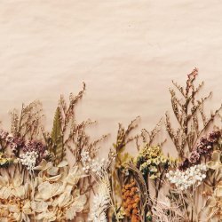 Photo of dried flowers on textured paper (2478084)