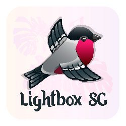 LightboxSG Avatar