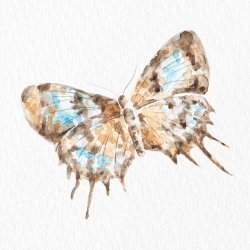 WatercolorArtSabina Avatar