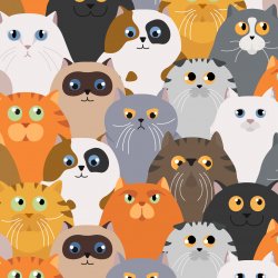 Pet design shop avatar