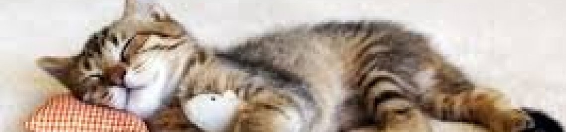 reg12-18 Profile Banner