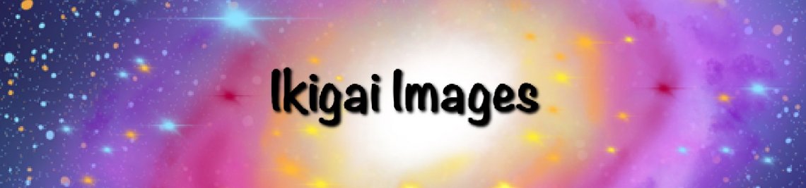 Ikigai Images Profile Banner