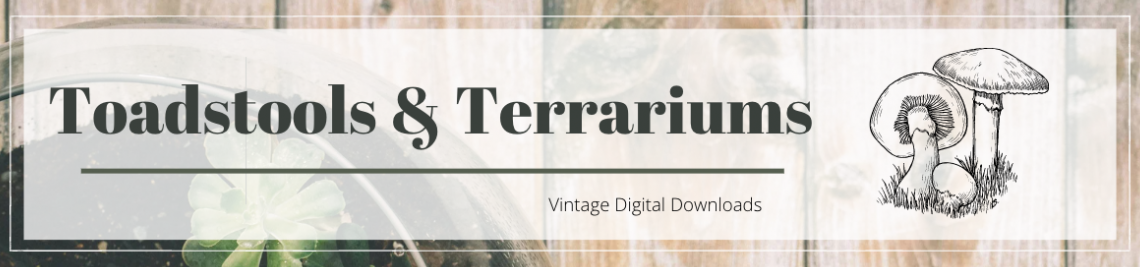 Toadstools and Terrariums Profile Banner