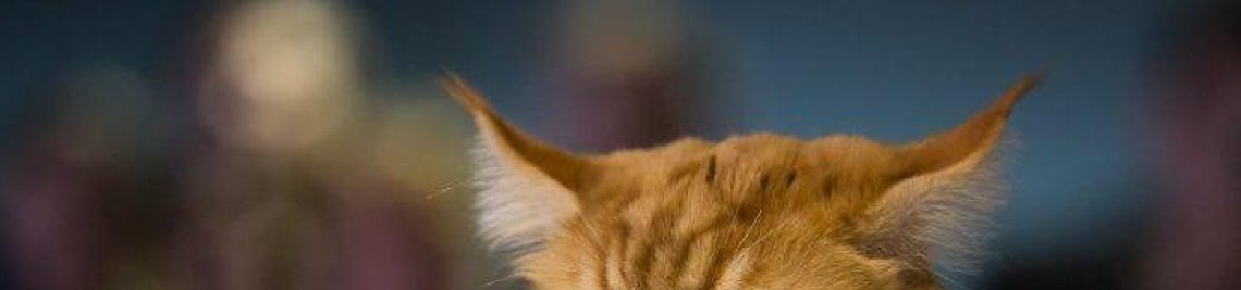 reg0312 Profile Banner