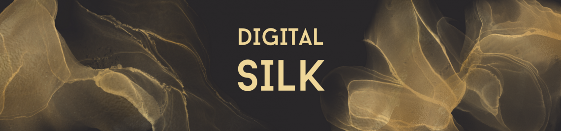 DigitalSilk Profile Banner