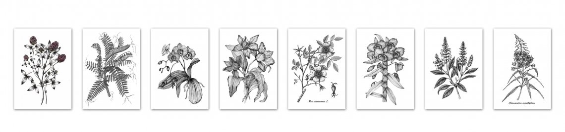 Botanical Graphic Shop Profile Banner