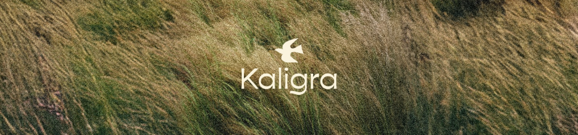 Kaligra co Profile Banner