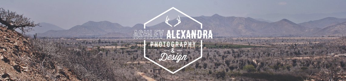 Ashley Alexandra Design Profile Banner