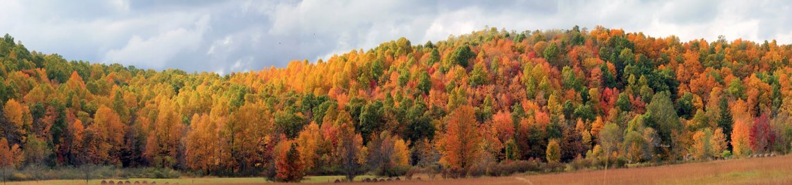 ThirdStock Profile Banner