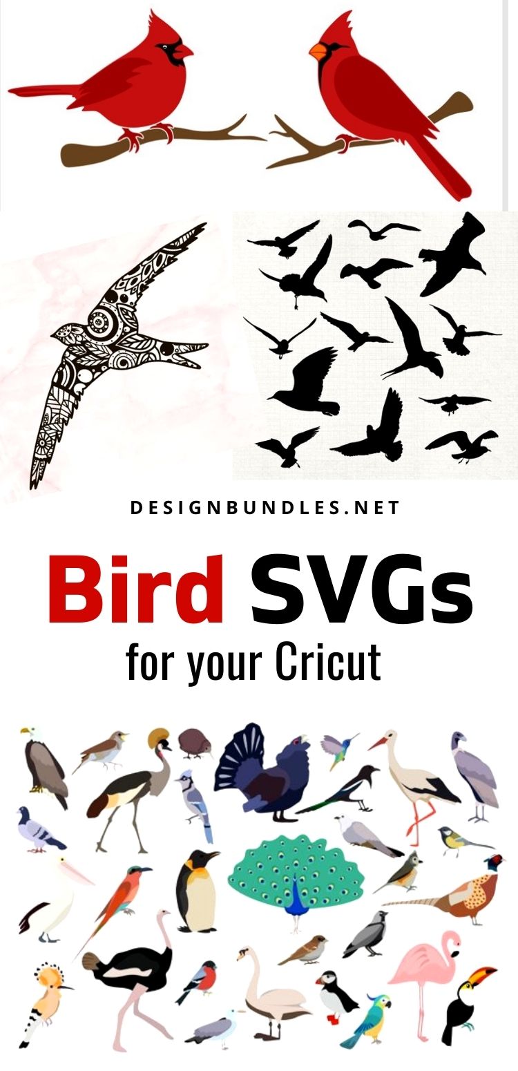 Bird SVGs