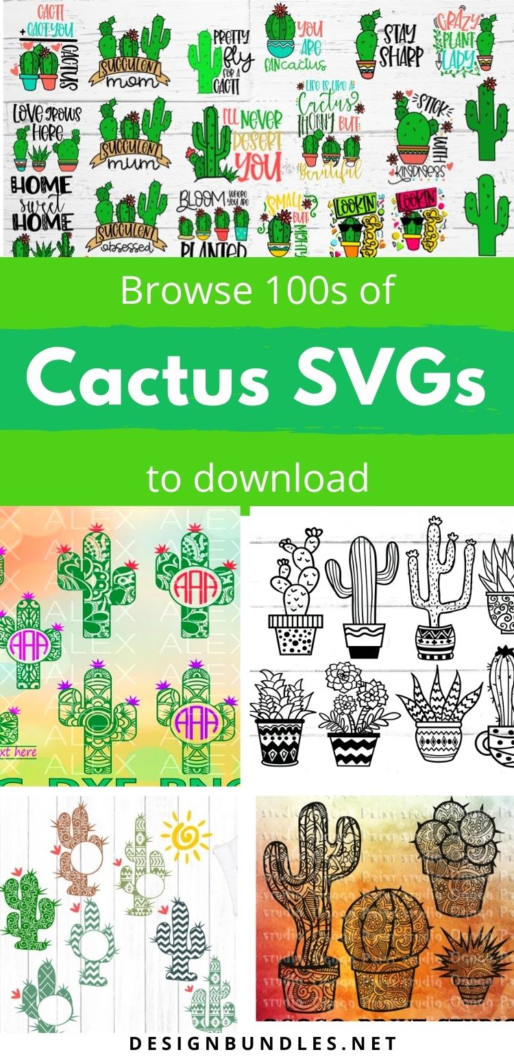 Cactus SVGs