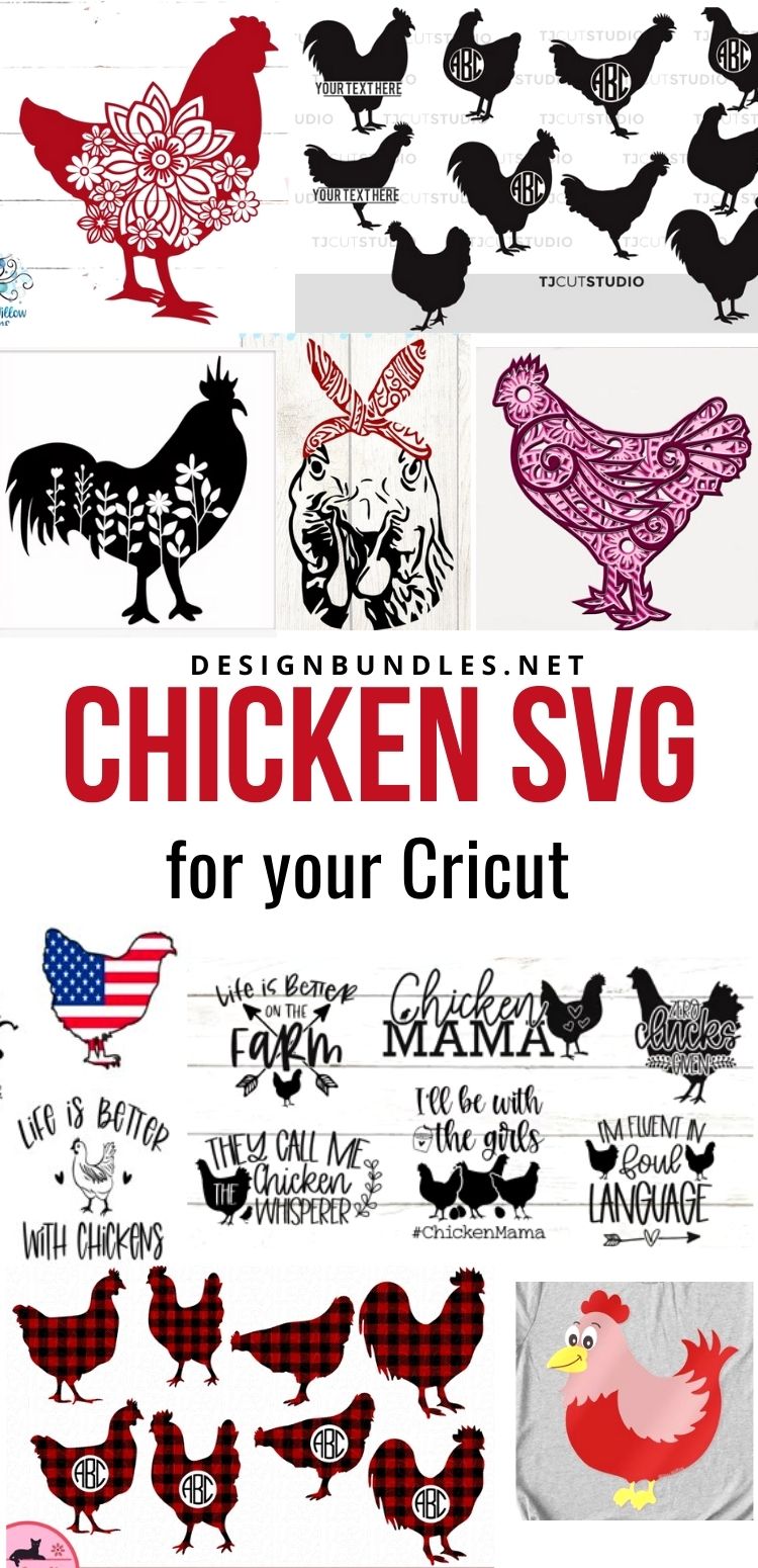 Chicken SVGs