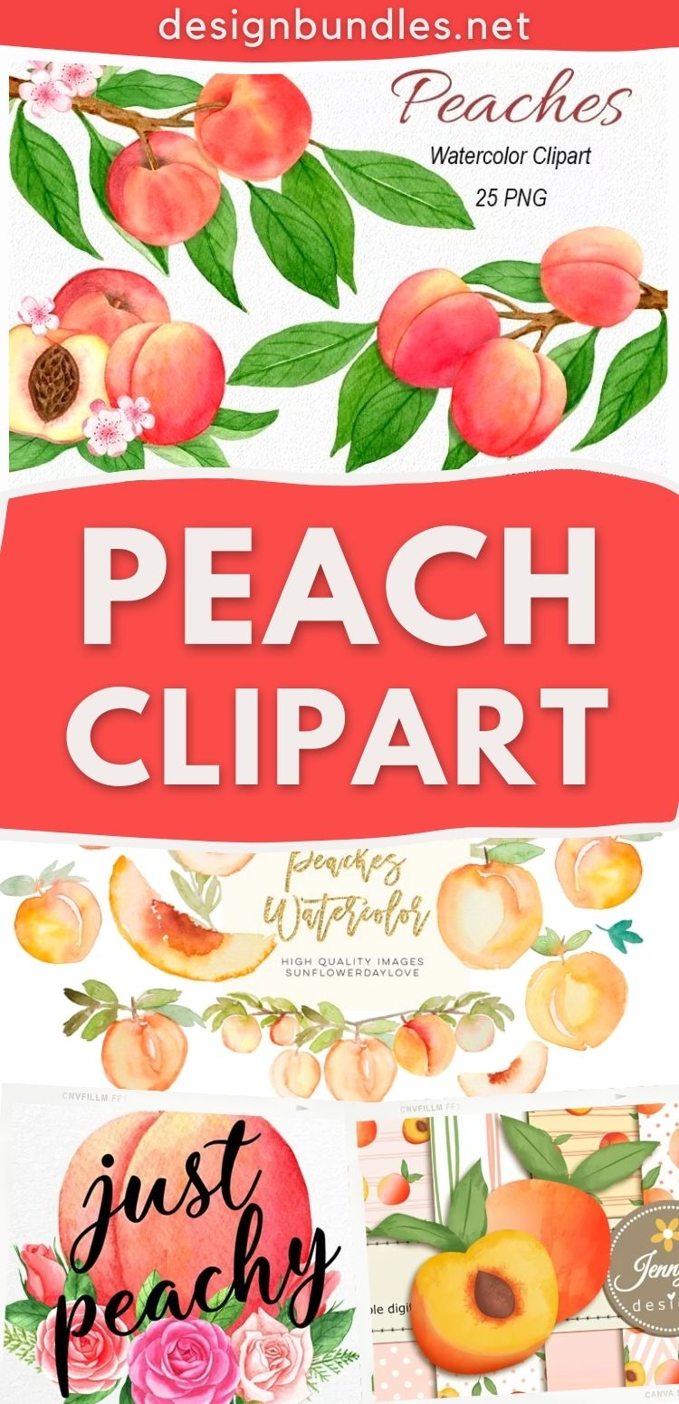 Peach Clipart