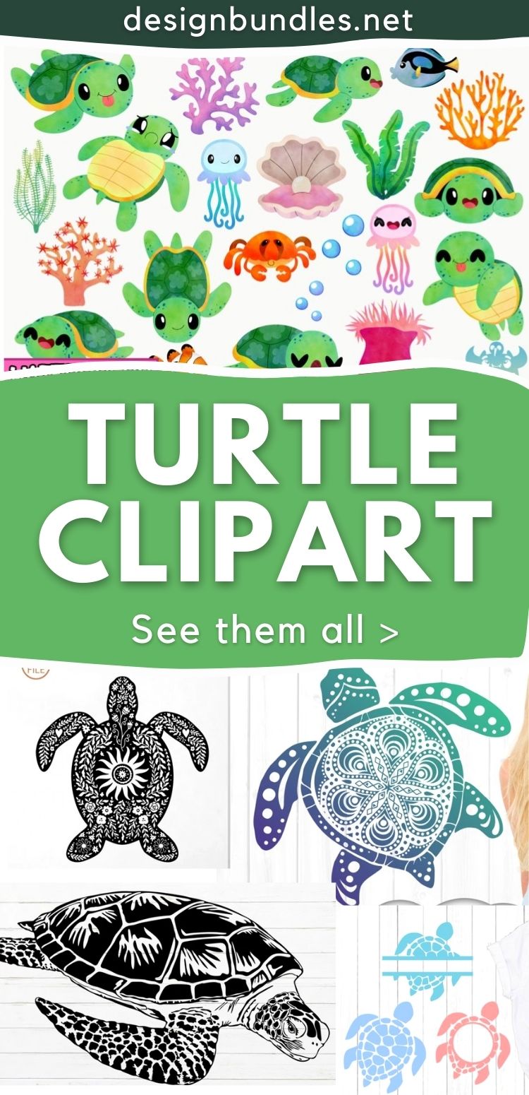 Turtle Clipart