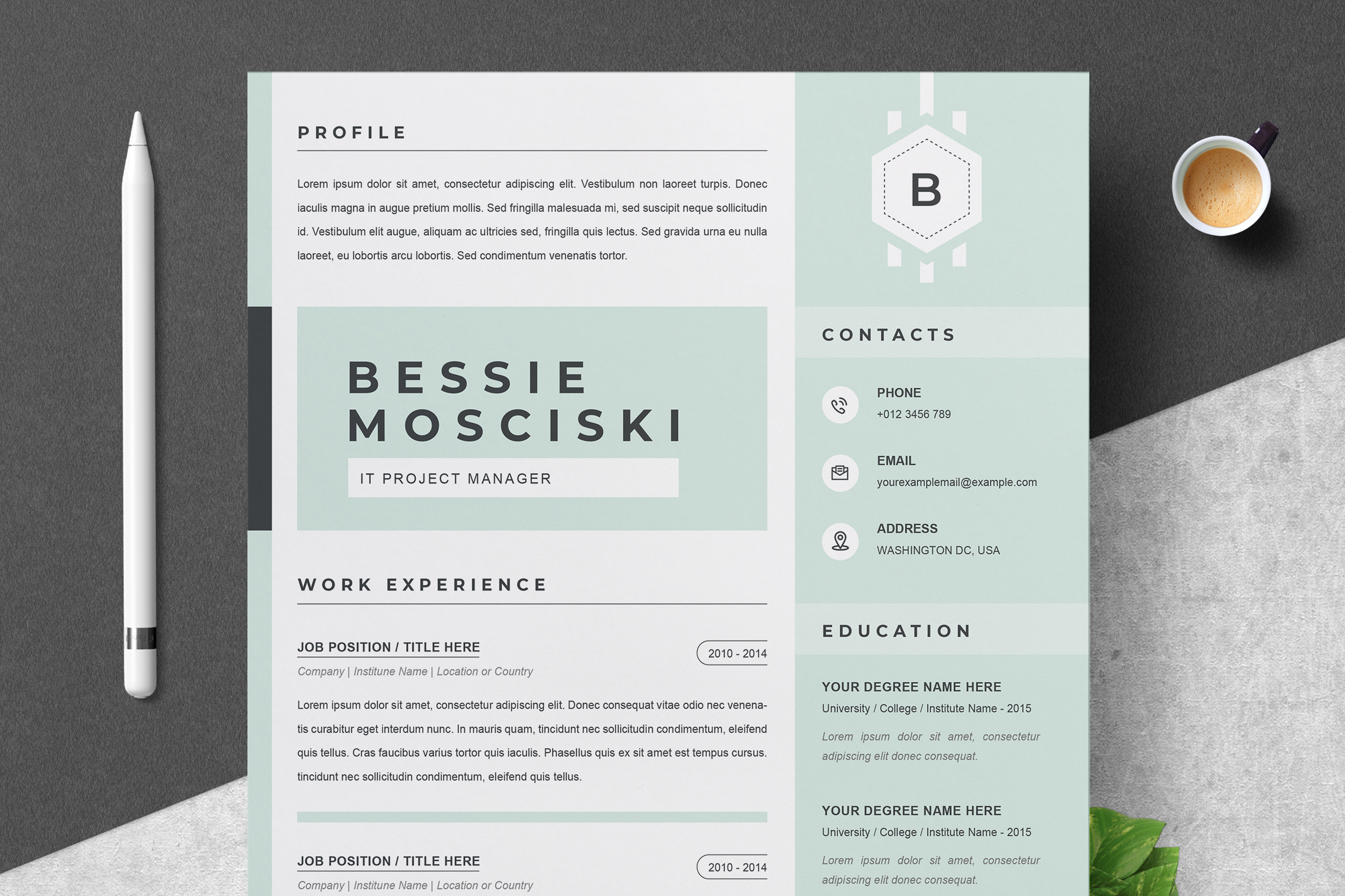 Beste Modern Resume / CV Template (423114) | Resume Templates | Design DP-55