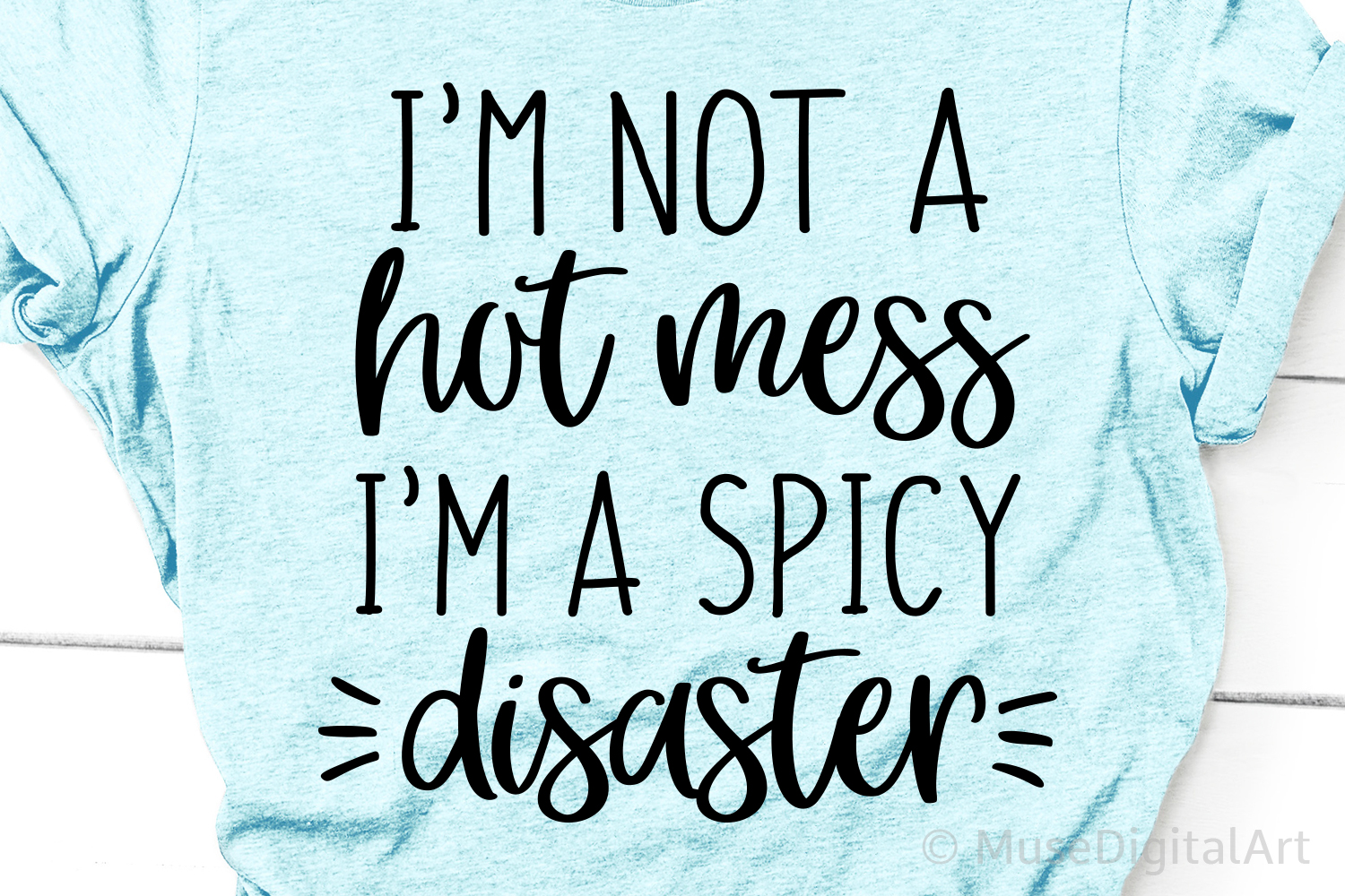 Im not a Hot Mess Im a Spicy Disaster Svg, Funny MomLife Svg