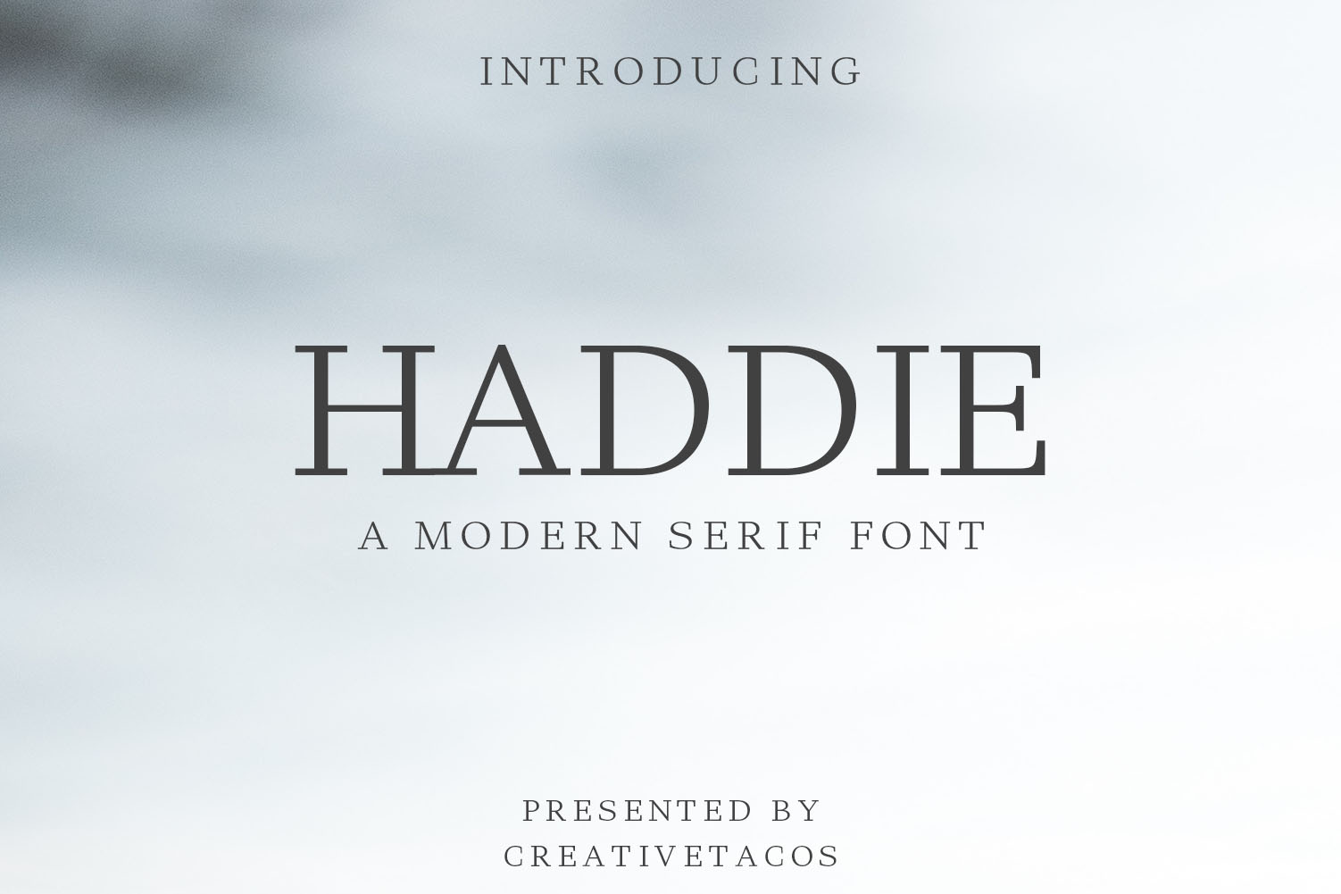 Haddie Modern Serif Font Family (228450) | Serif | Font Bundles