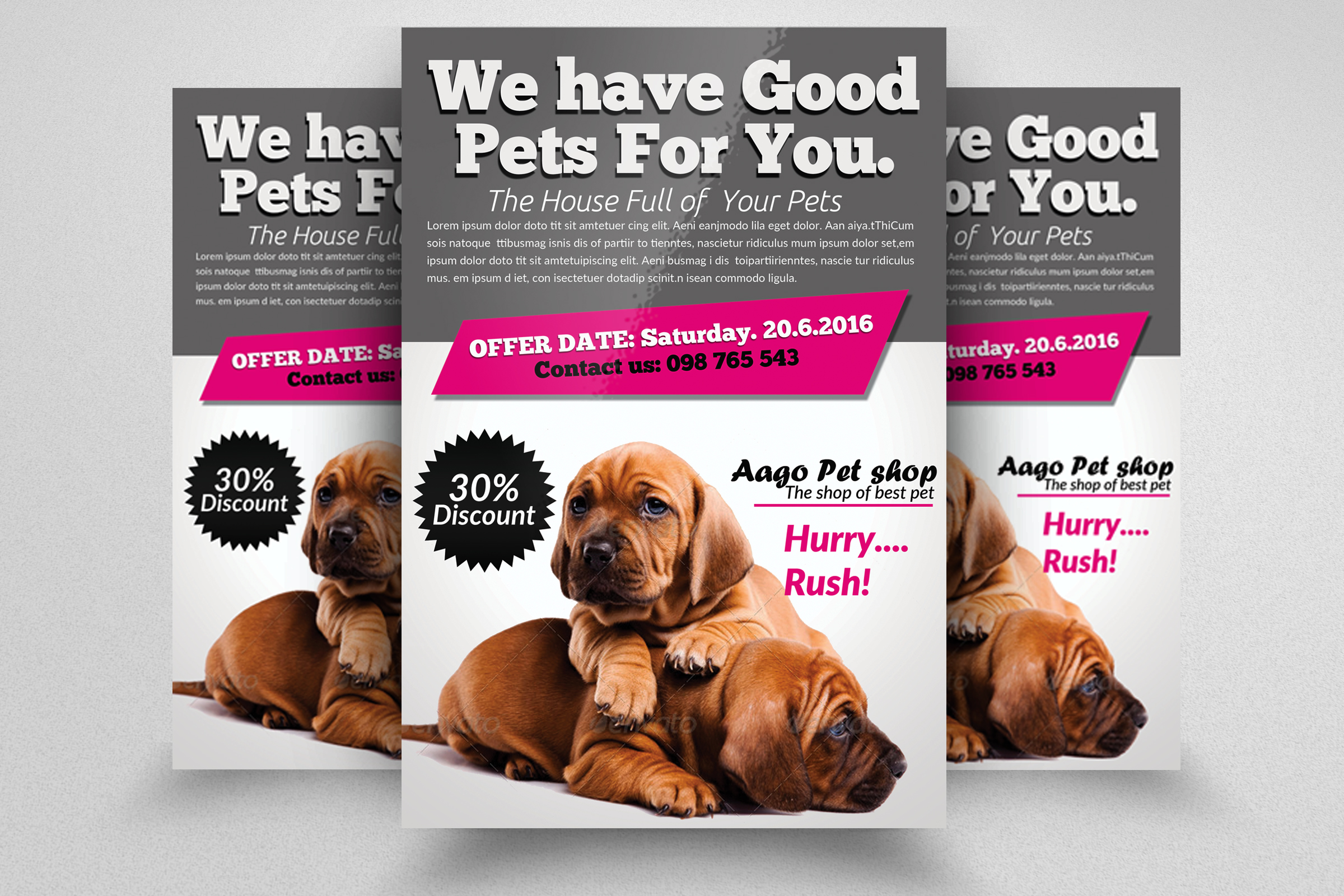 Pet Shop Flyer Templates