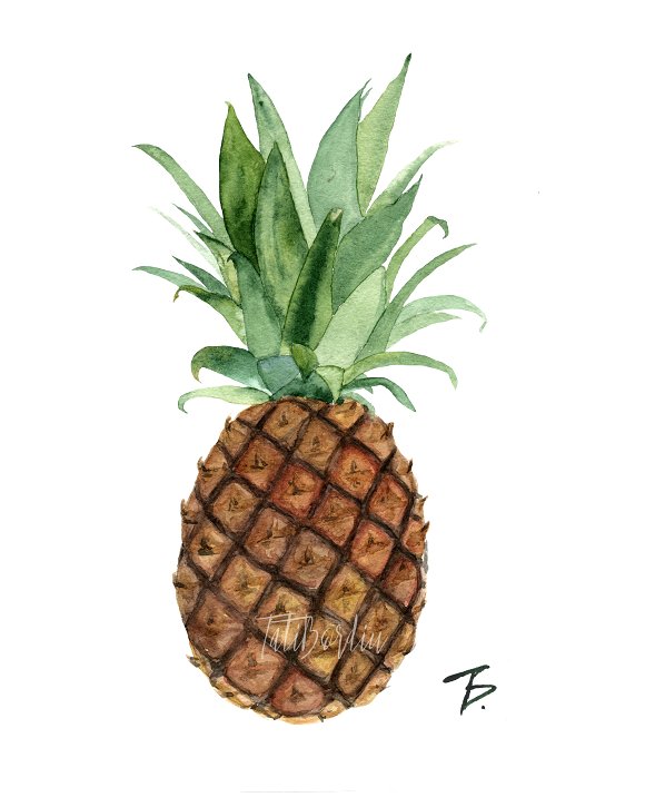 Download Watercolor Pineapple Clipart & Print