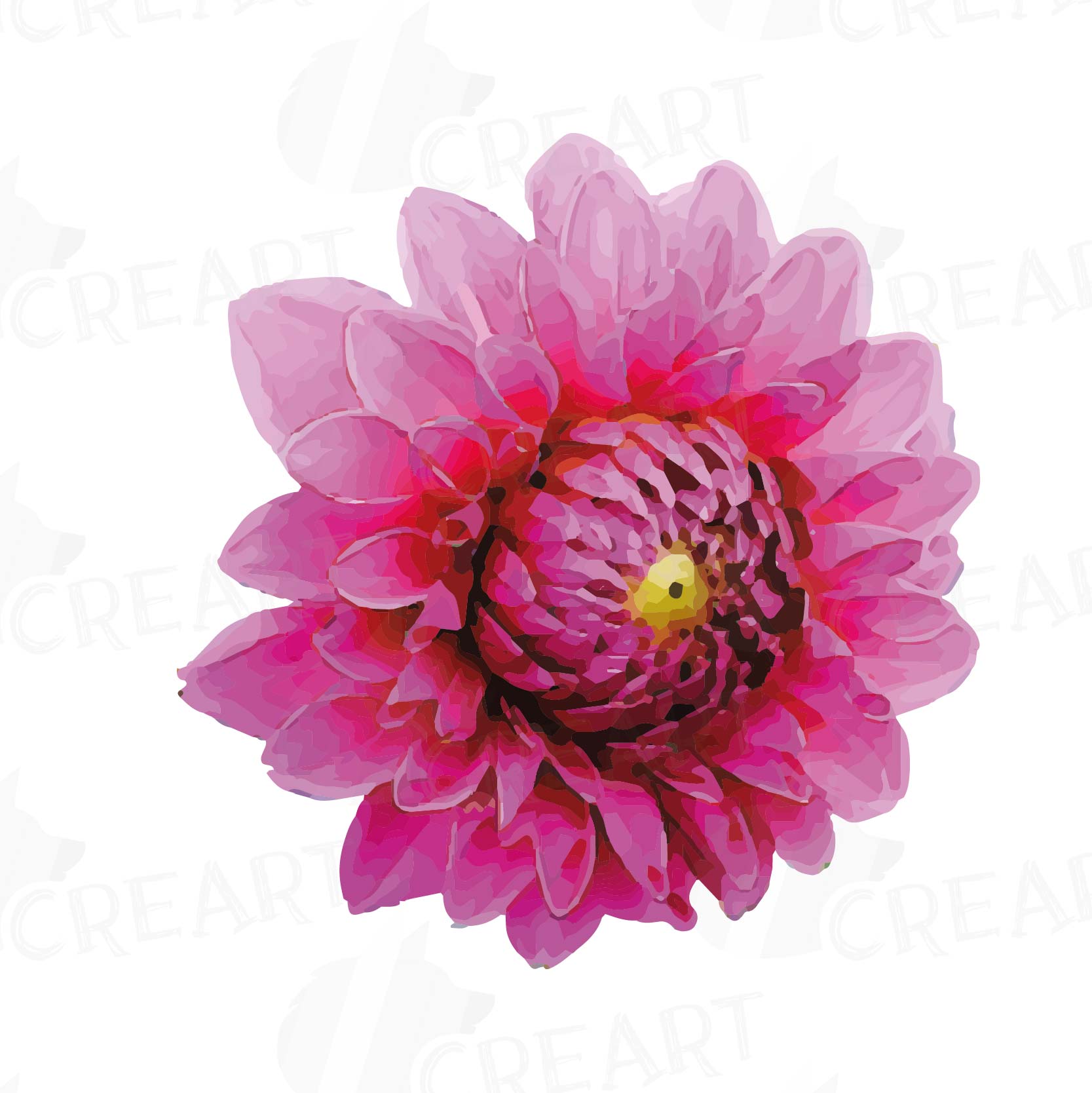 Download Watercolor Dahlia flower clip art pack, watercolor pink ...