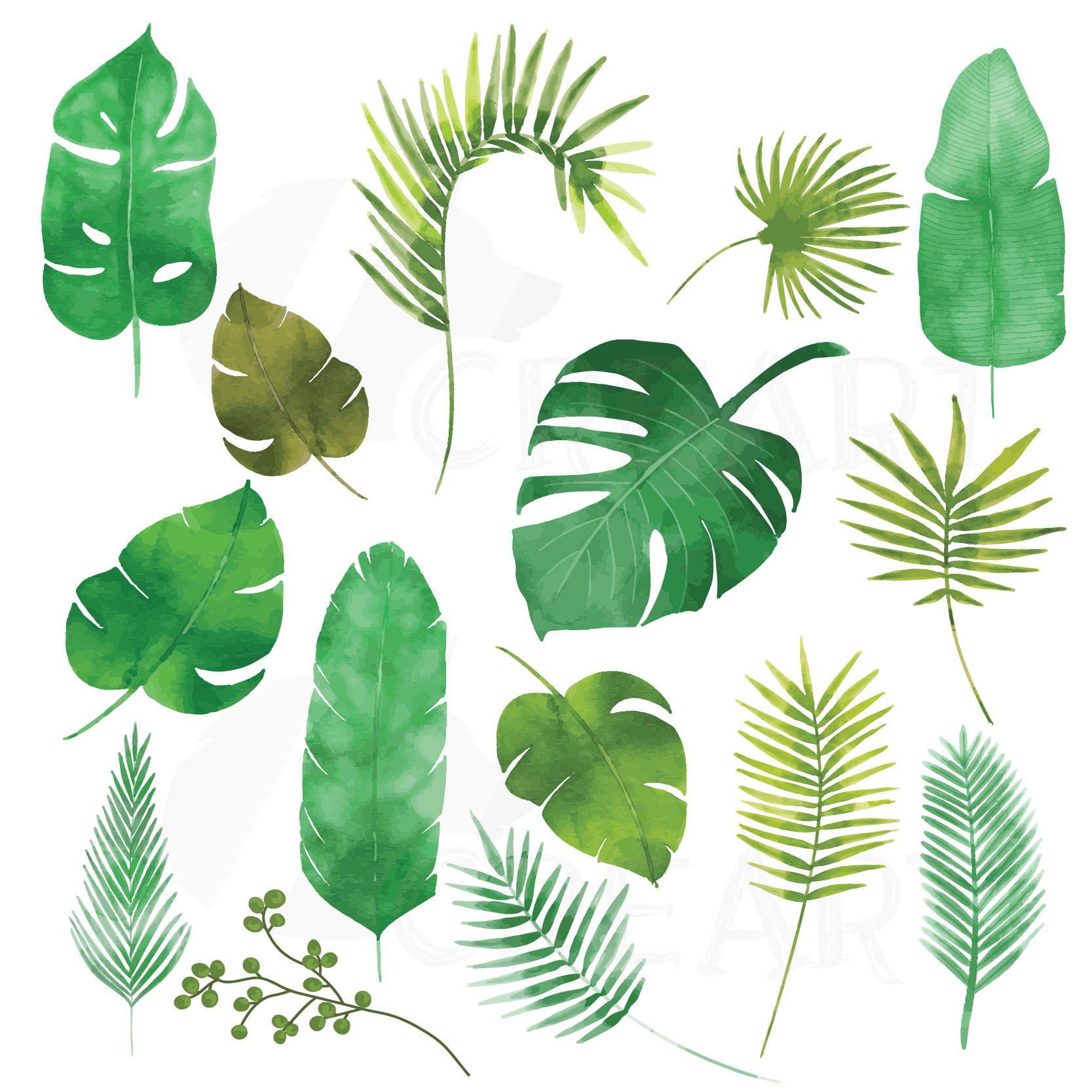 Download Palm leaves watercolor clip art pack, tropical leafs ...